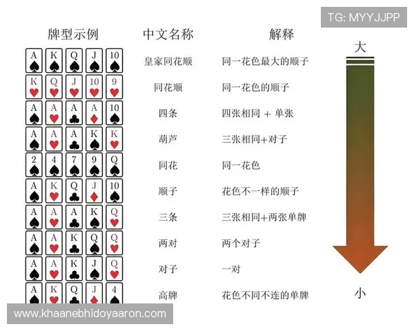 德州扑克技巧与策略全面解析助你成为牌场高手